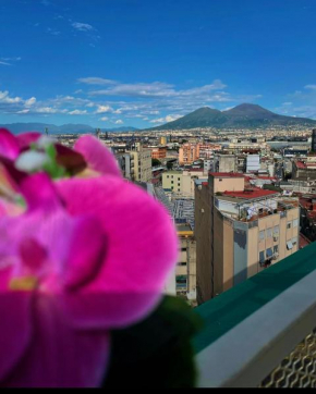 B&B Napoli's Rooftop, Napoli